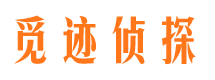 新市婚外情调查取证